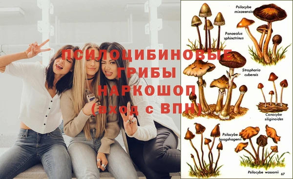 ALPHA PVP Бугульма